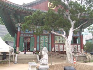 樹齢500年のソウル曹渓寺の「白松」